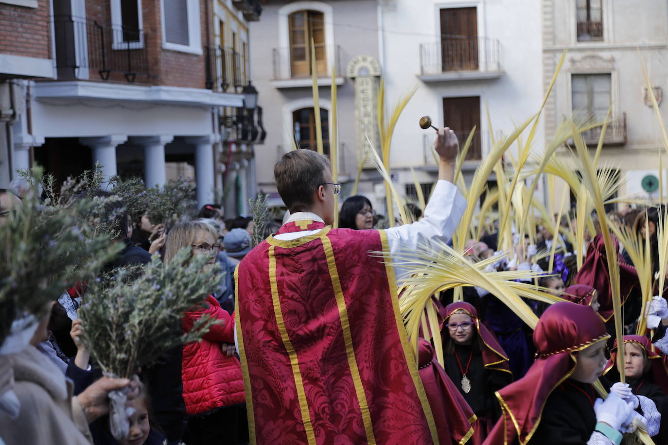 Peñafiel celebra su tradicional procesión de la Borriquilla