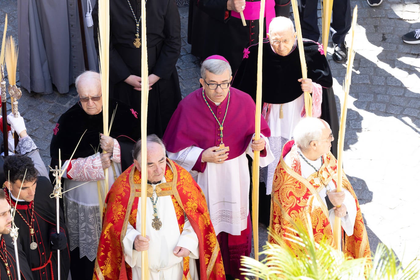 Procesión de la Borriquilla de Valladolid