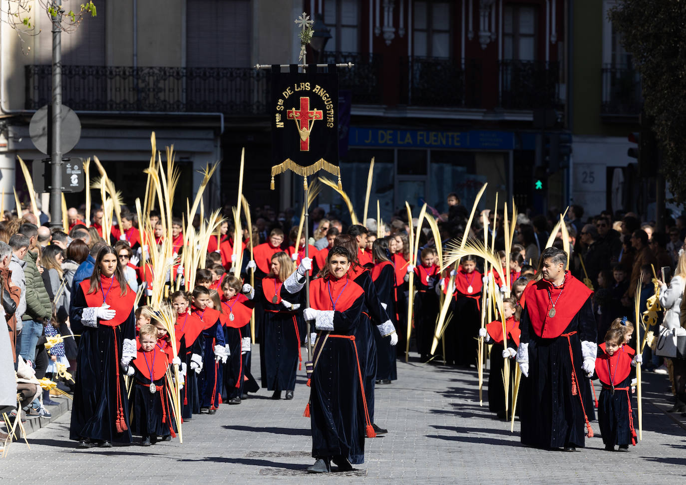 Procesión de la Borriquilla de Valladolid