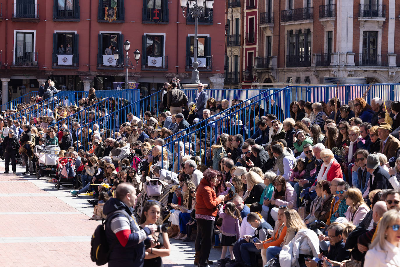 Procesión de la Borriquilla de Valladolid