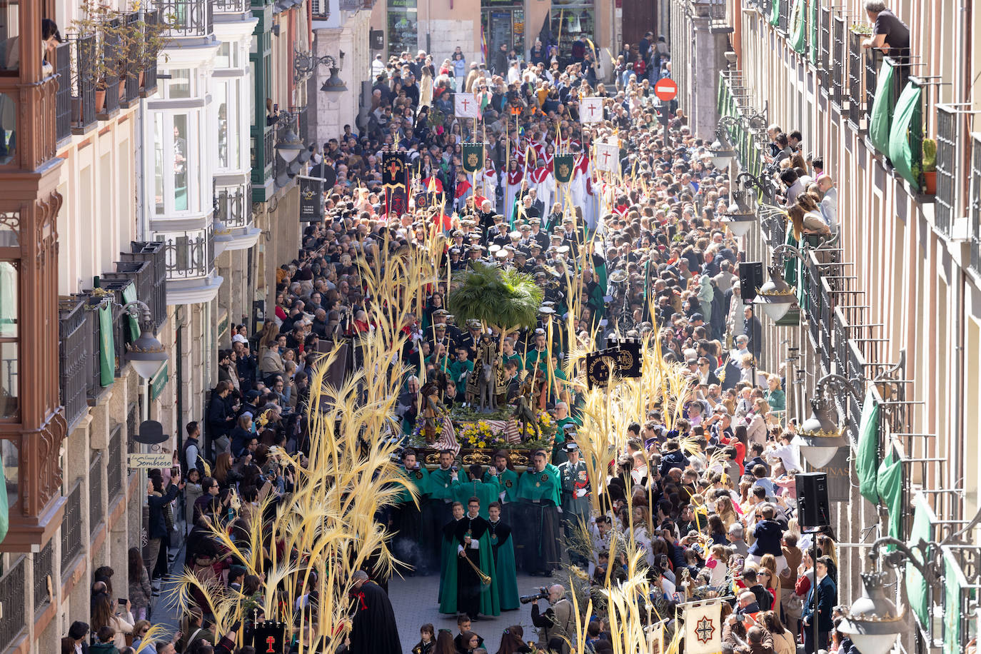 Procesión de la Borriquilla de Valladolid