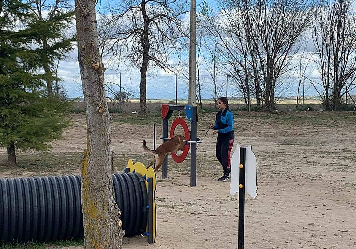 Una joven juega con su perro en el parque canino.