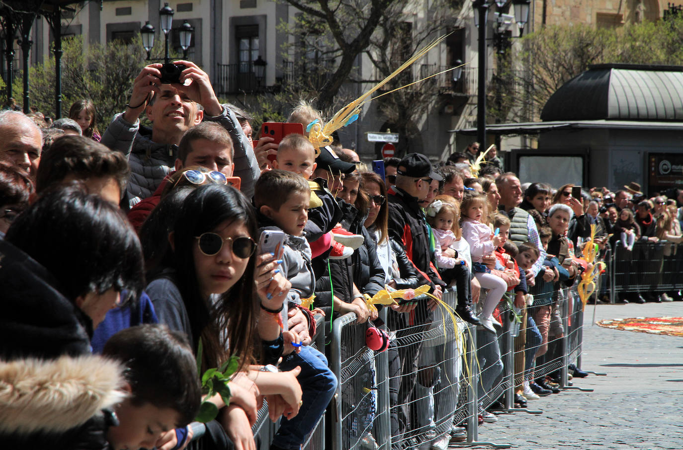 Domingo de Ramos en la provincia de Segovia