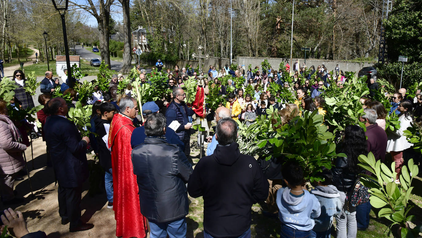 Procesión del Domingo de Ramos en El Espinar y San Rafael