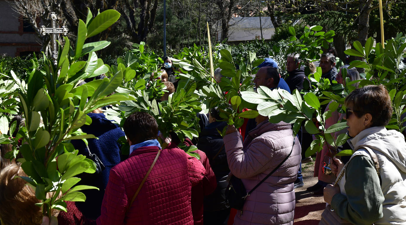 Procesión del Domingo de Ramos en El Espinar y San Rafael