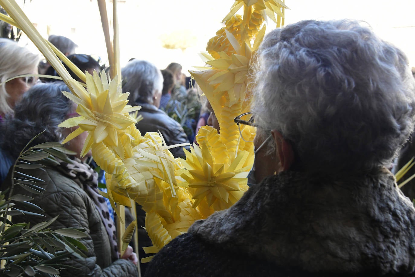 Procesión del Domingo de Ramos en El Espinar y San Rafael