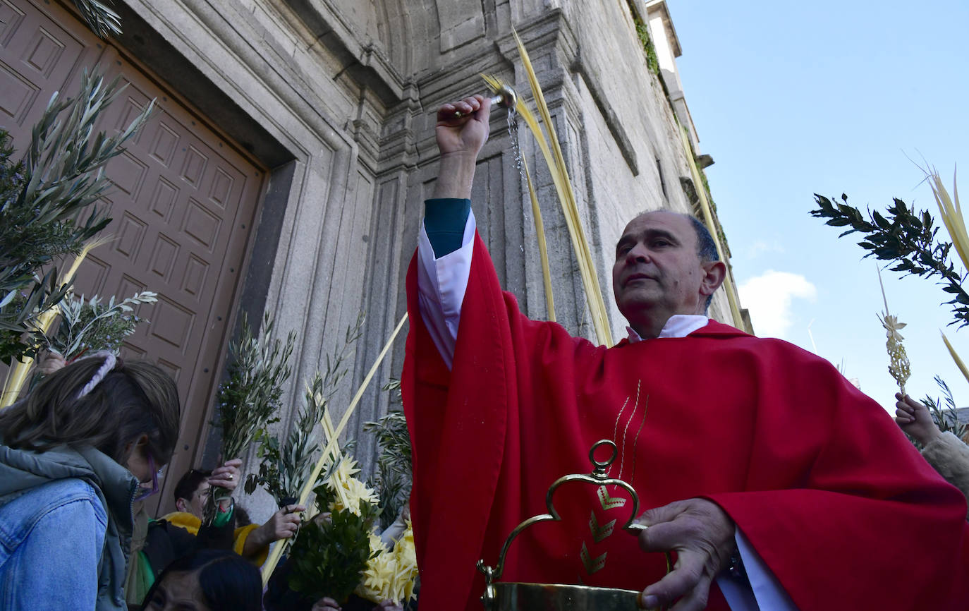 Domingo de Ramos en la provincia de Segovia