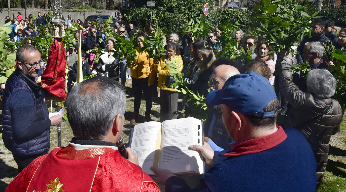 Procesión del Domingo de Ramos en El Espinar y San Rafael