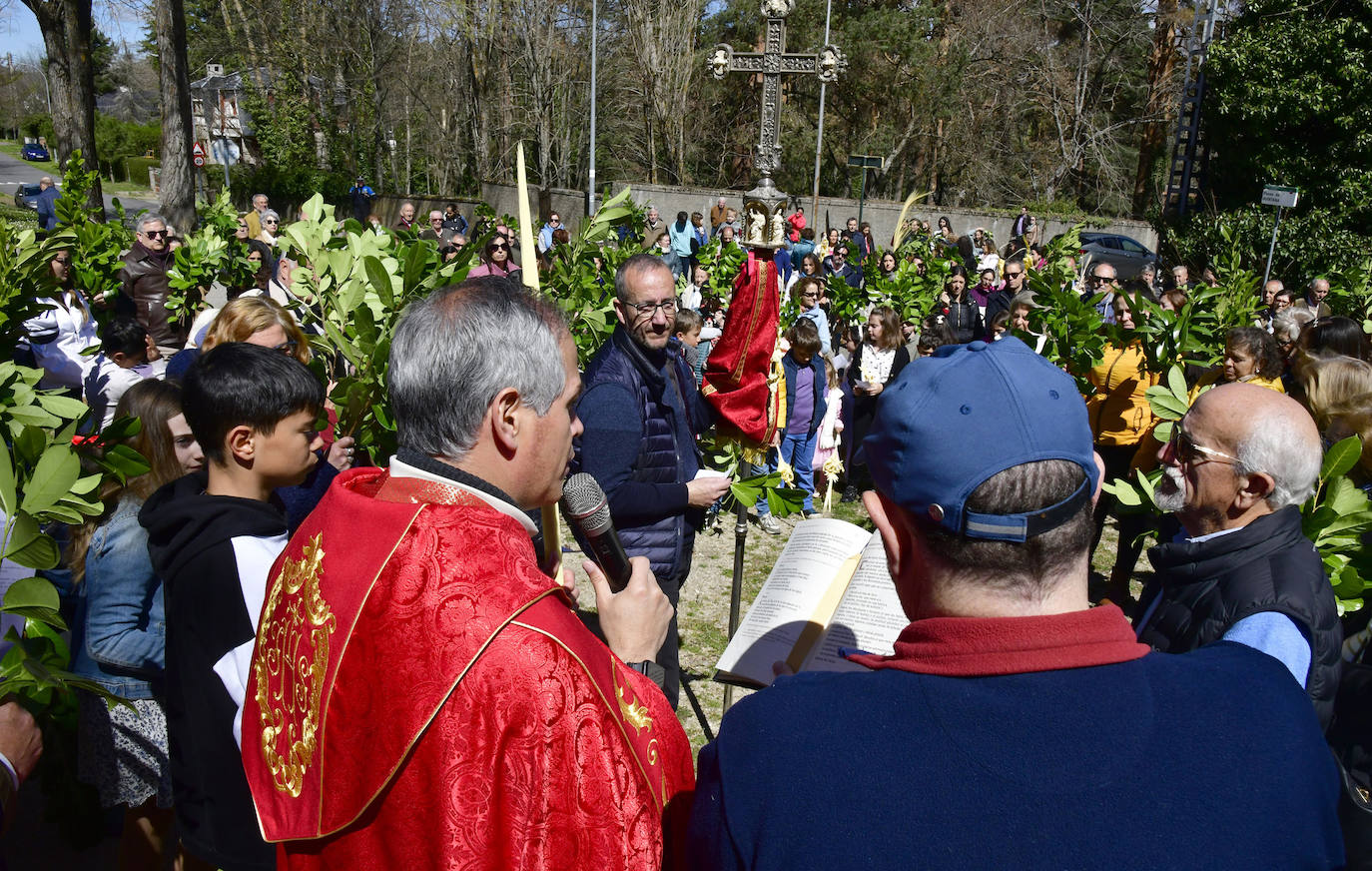 Procesión del Domingo de Ramos en El Espinar y San Rafael