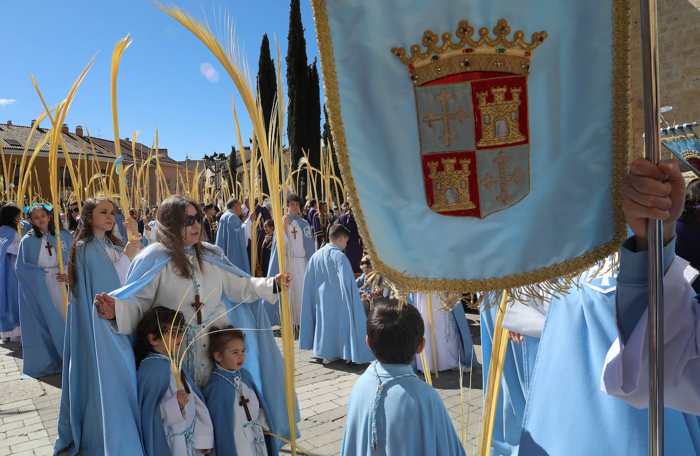 Procesión de la &#039;borriquilla&#039; en Palencia