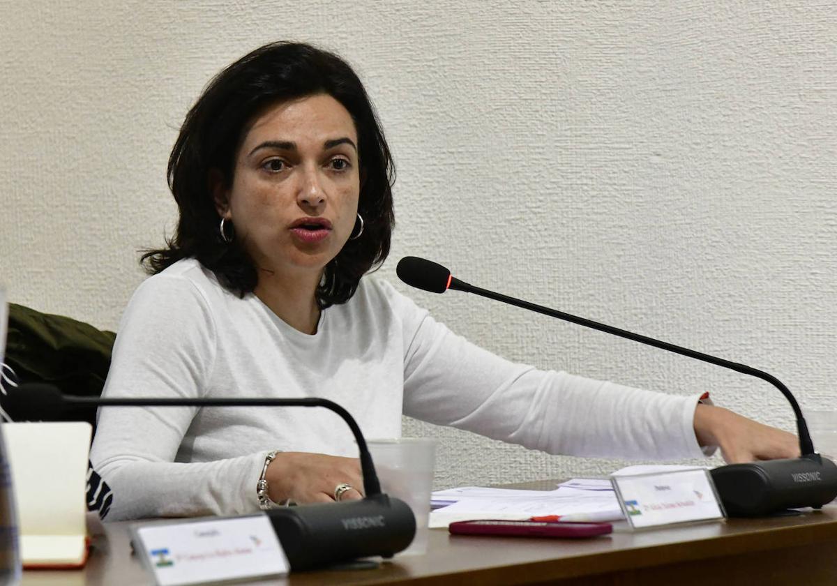 Alicia Palomo (PSOE), durante su intervención en el pleno.