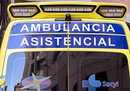 Muere una mujer en Soria tras caer y quedar bajo un caballo