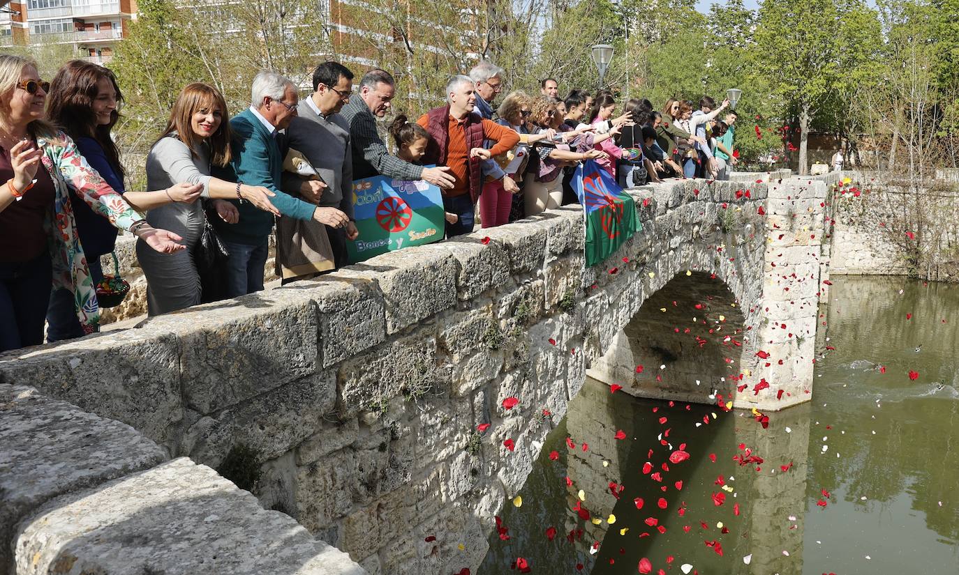 El Día Internacional del Pueblo Gitano se conmemora con pétalos en el Carrión