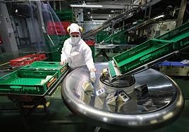 Fábrica de envasado y curado de Quesos Entrepinares en Valladolid.