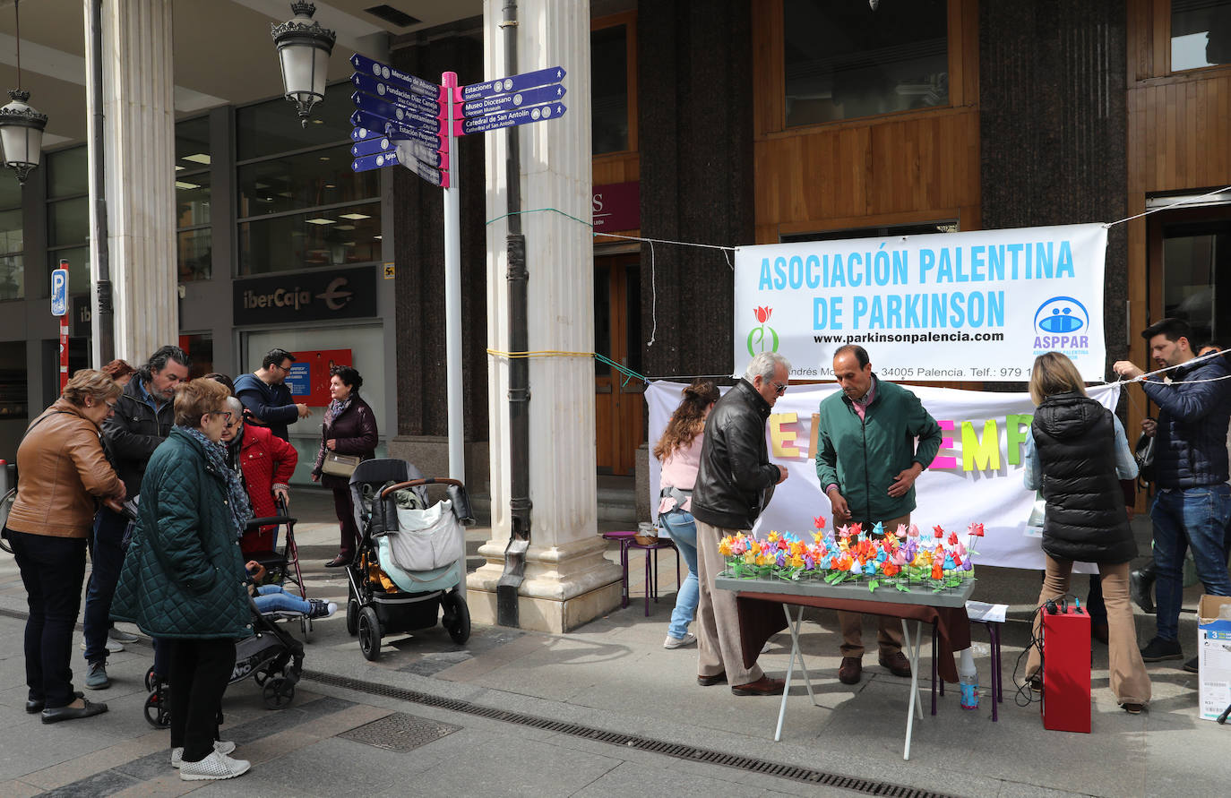 Palencia conmemora el Día Mundial del Parkinson con tulipanes de papel