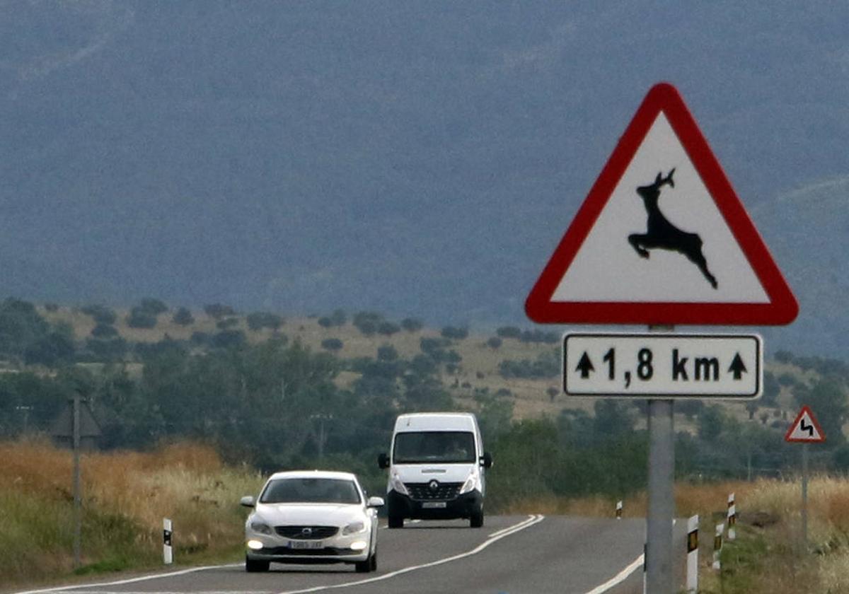 Señal que advierte del peligro por paso de fauna silvestre en una carretera de la provincia.