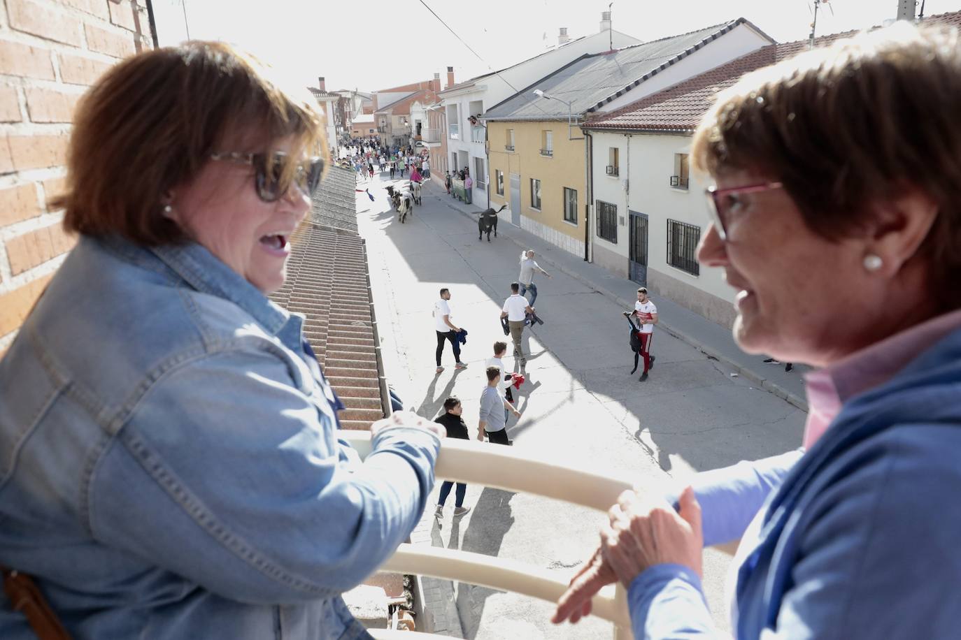 Encierro en Pedrajas de San Esteban