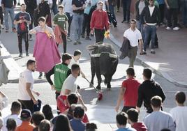 Uno de los toros, este sábado por las calles de Pedrajas de San Esteban.