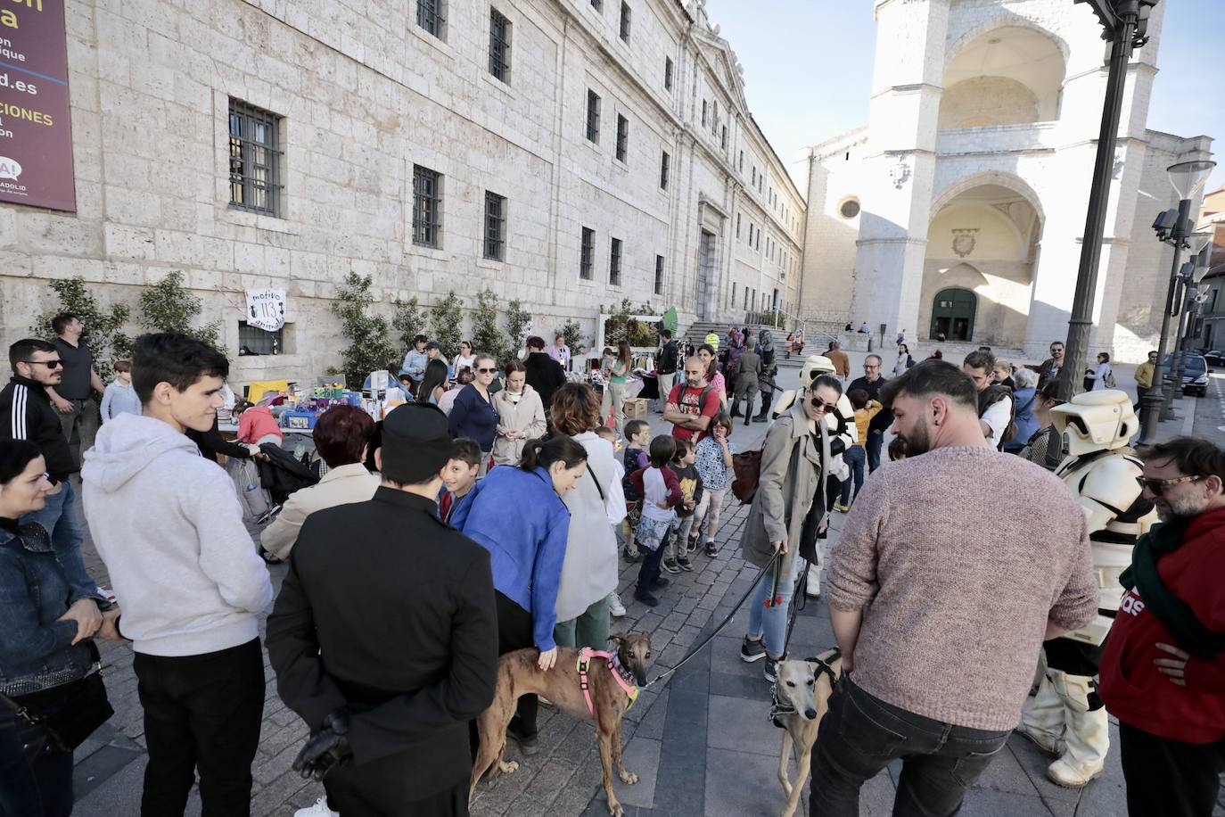 Jornada solidaria por la protección de animales abandonados en Valladolid