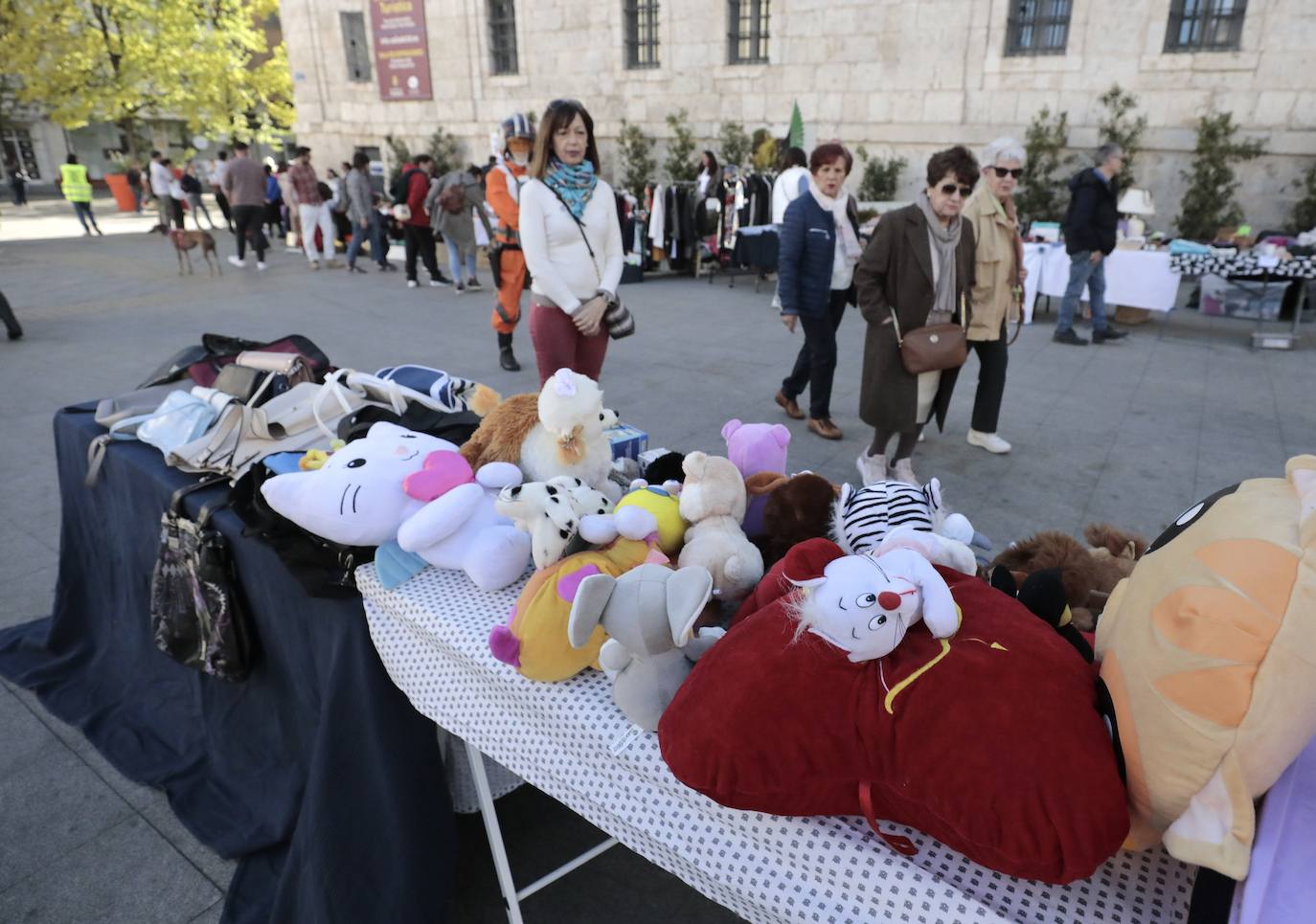 Jornada solidaria por la protección de animales abandonados en Valladolid