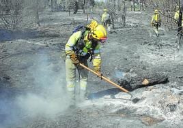 Agentes medioambientales apagan rescoldos en un incendio ocurrido en la provincia.