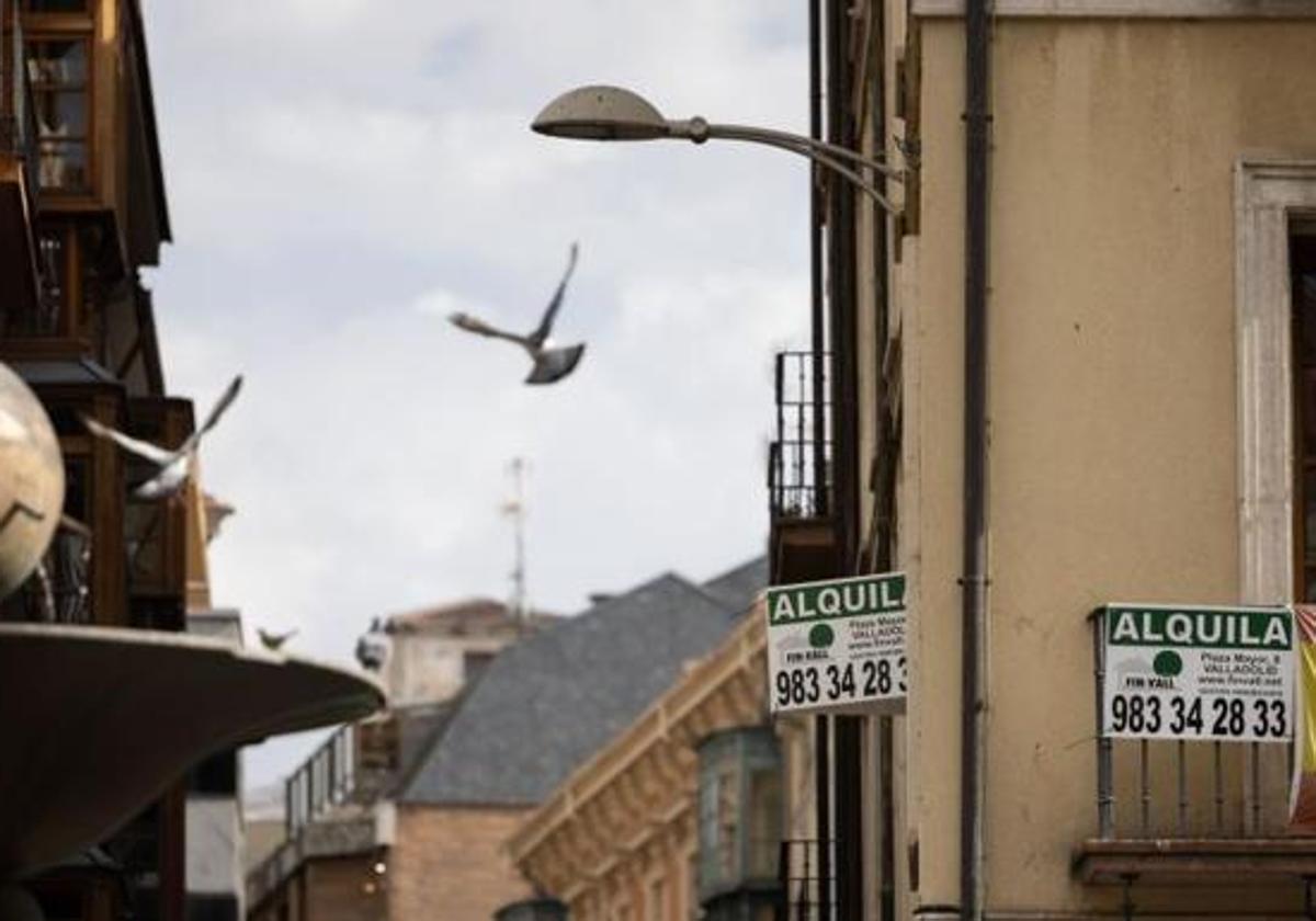 Carteles de una vivienda en alquiler en el centro de Valladolid.