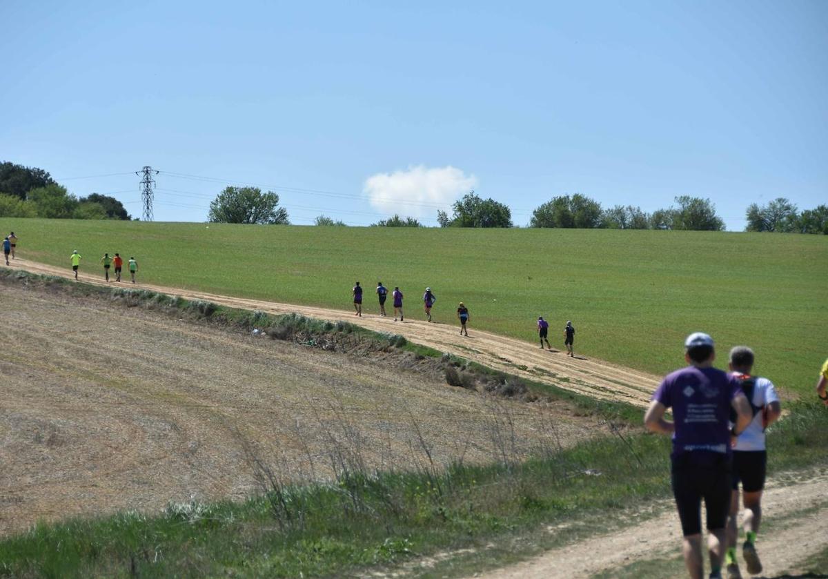 La Maratón del Clarete brinda con un Cigales