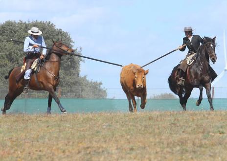 Imagen secundaria 1 - Juan Antonio Andrea y Benito, campeones de Castilla y León de Faenas y Doma de Campo