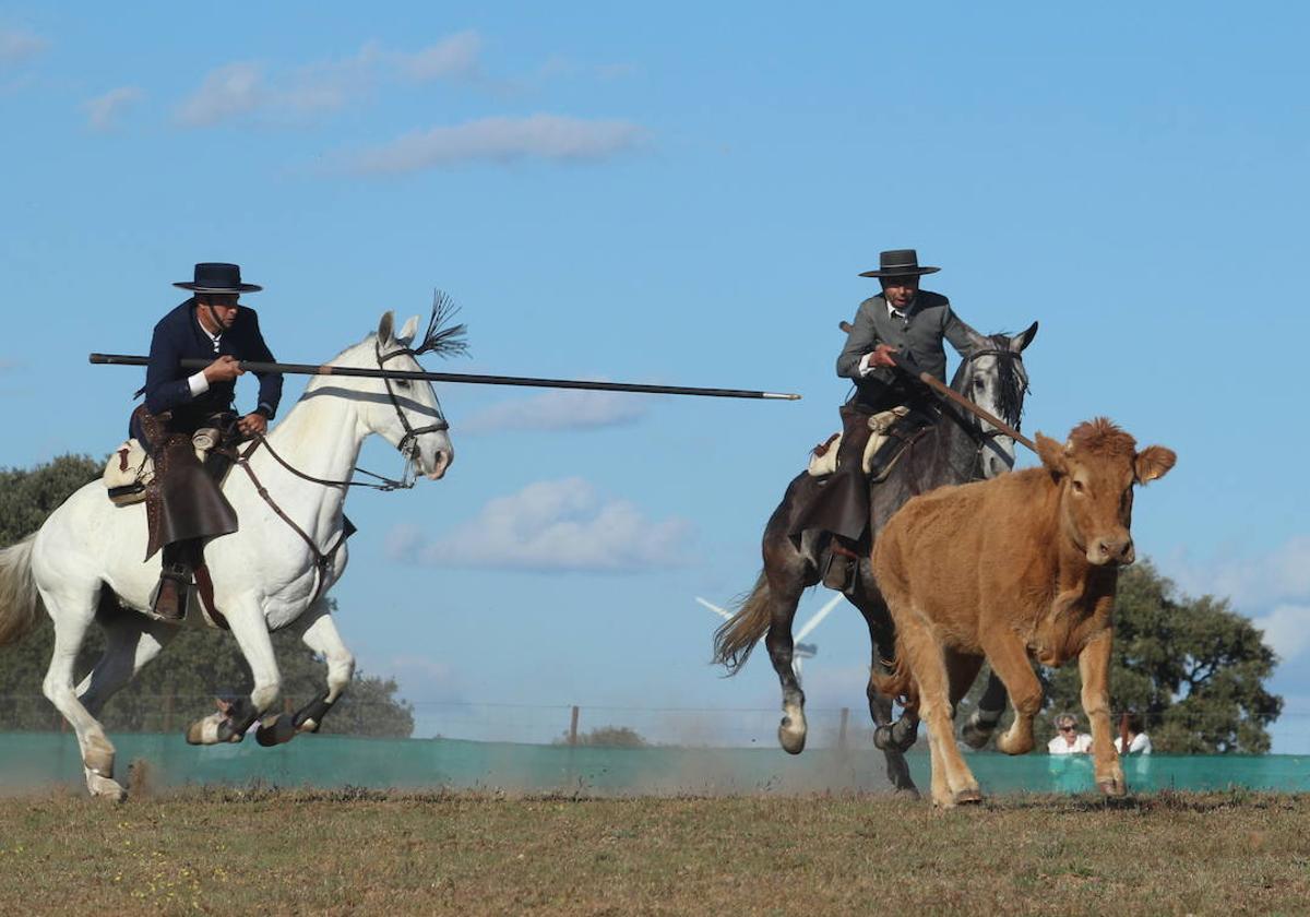 Juan Antonio Andrea y Juan Alfonso Benito, oro en la prueba autonómica.