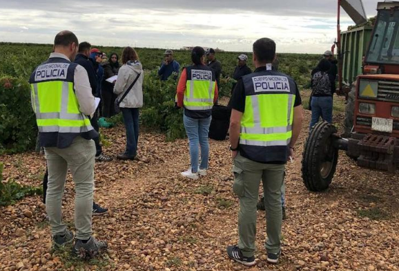 Agentes de la Policía Nacional identifican a los doce jornaleros en Villanueva de Duero.