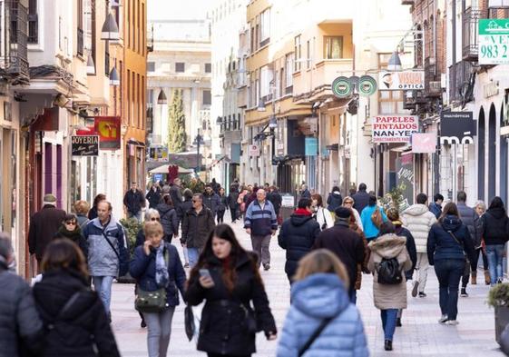 Zona de comercio de la calle Mantería, en Valladolid.