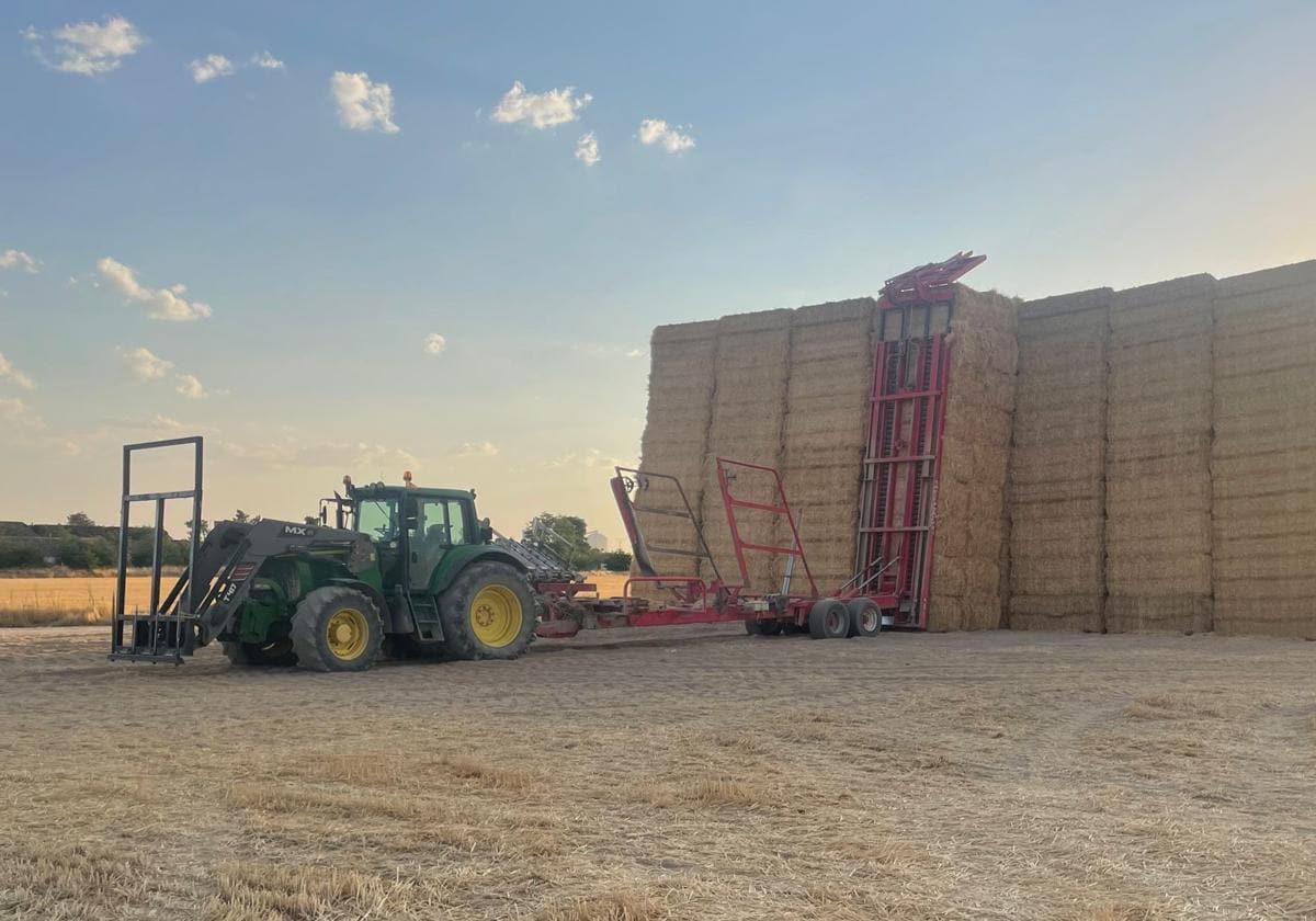 Castilla y León: El precio de la paja se dispara como primera consecuencia  de la sequía en el campo | El Norte de Castilla