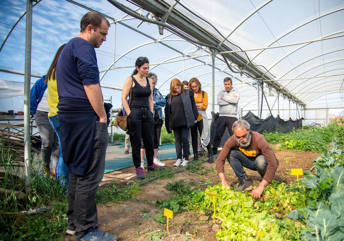 El profesor Guillermo Puerta explica las diferentes plantas de lechuga.