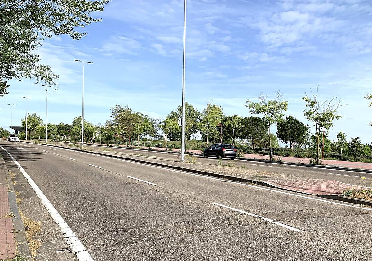 Estado del firme en la avenida del Real Valladolid.