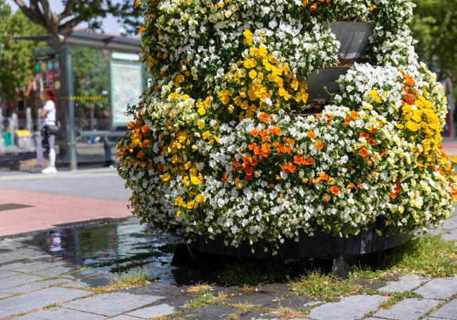 Jardinera de flores en el Paseo de Zorrilla.