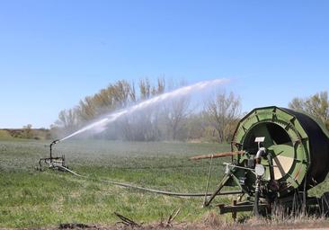 Los regantes del Pisuerga exigen a la Confederación «medidas excepcionales» frente a la sequía