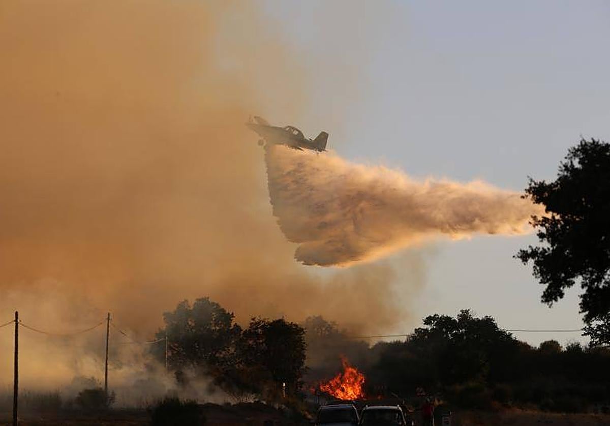 Incendio en Losacio de Alba el verano pasado.
