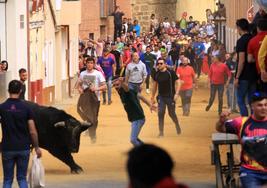 Encierro de 2022 en la calle Derecha de Mayorga.