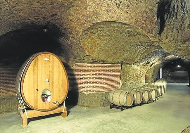 Bodega subterránea Campo Eliseo.