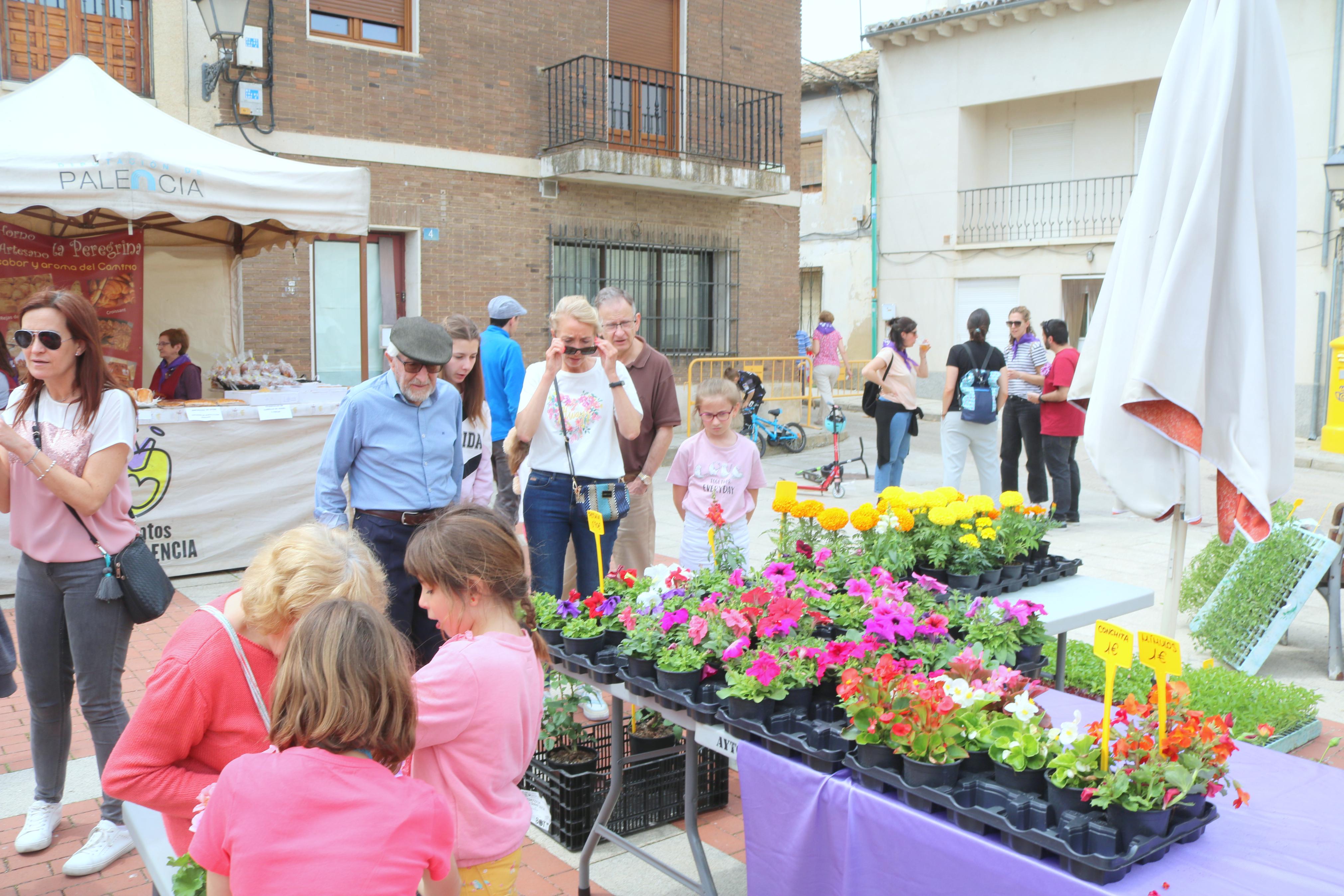 III Feria de &quot;Exaltación de las Lilas&quot; en Villaviudas