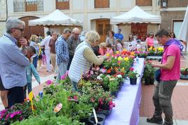 Villaviudas celebra la tercer fiesta de exaltación de las lilas