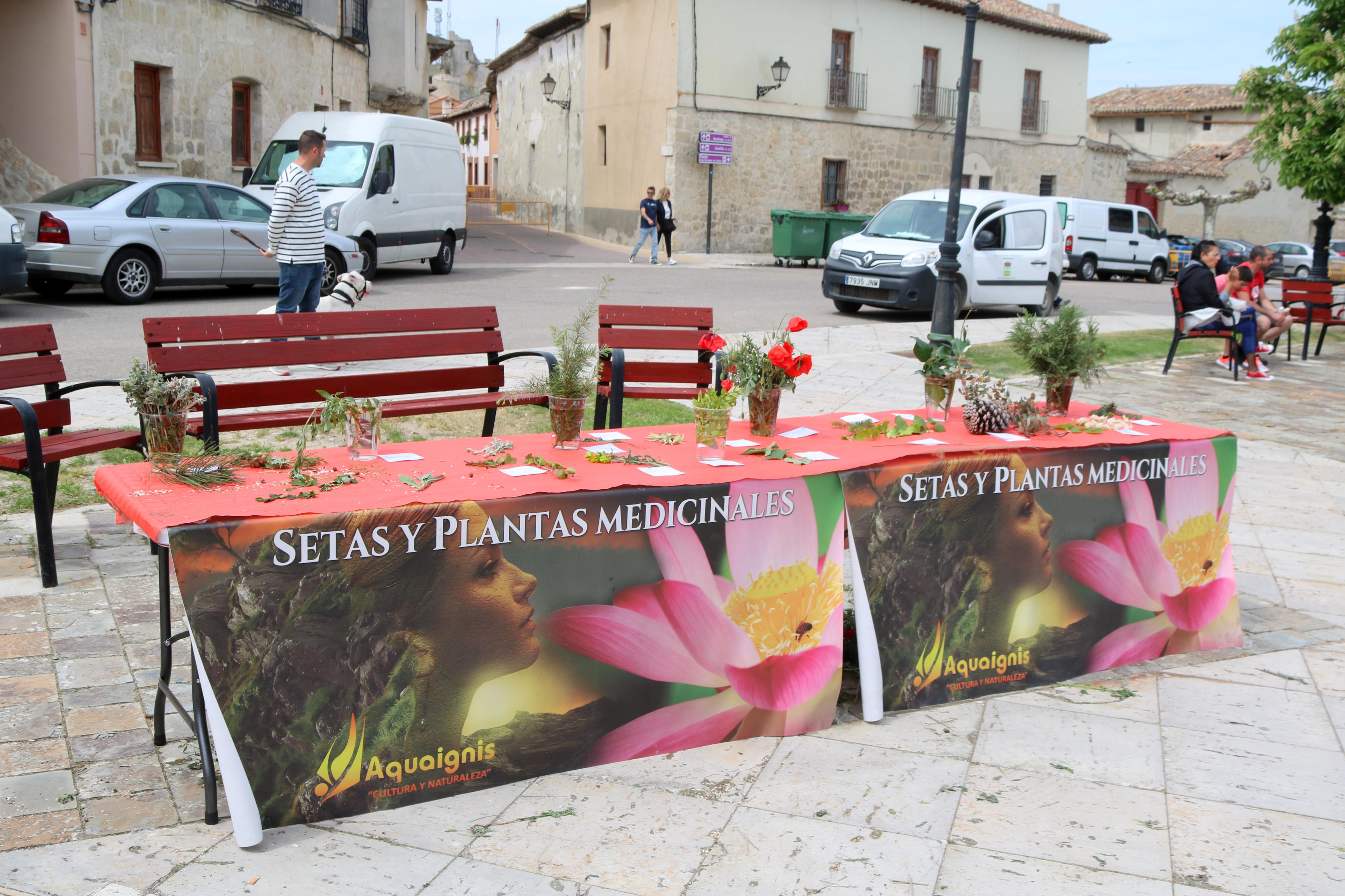 Ampudia celebra el XII Mercado Regional de la Flor