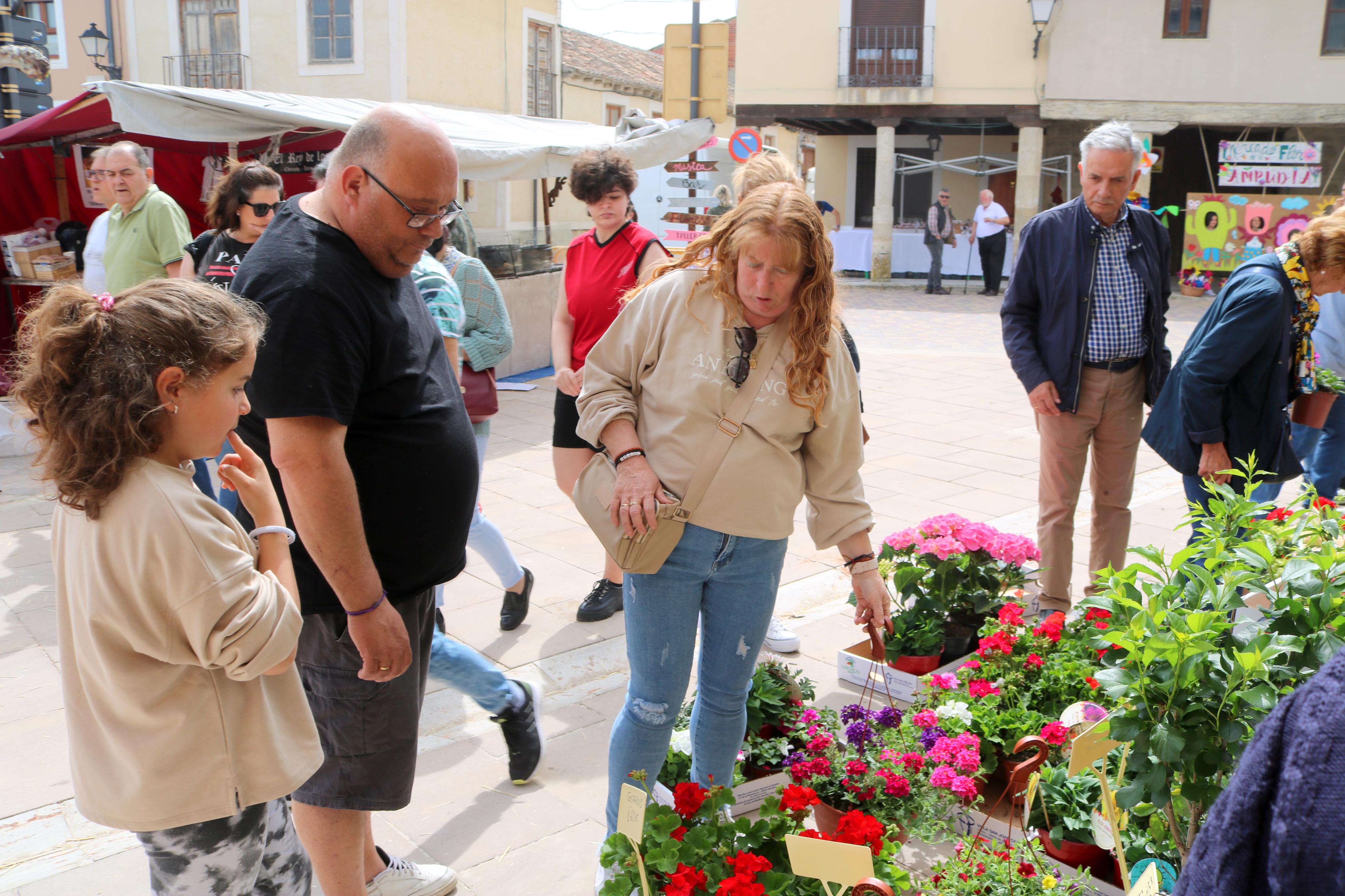 Ampudia celebra el XII Mercado Regional de la Flor