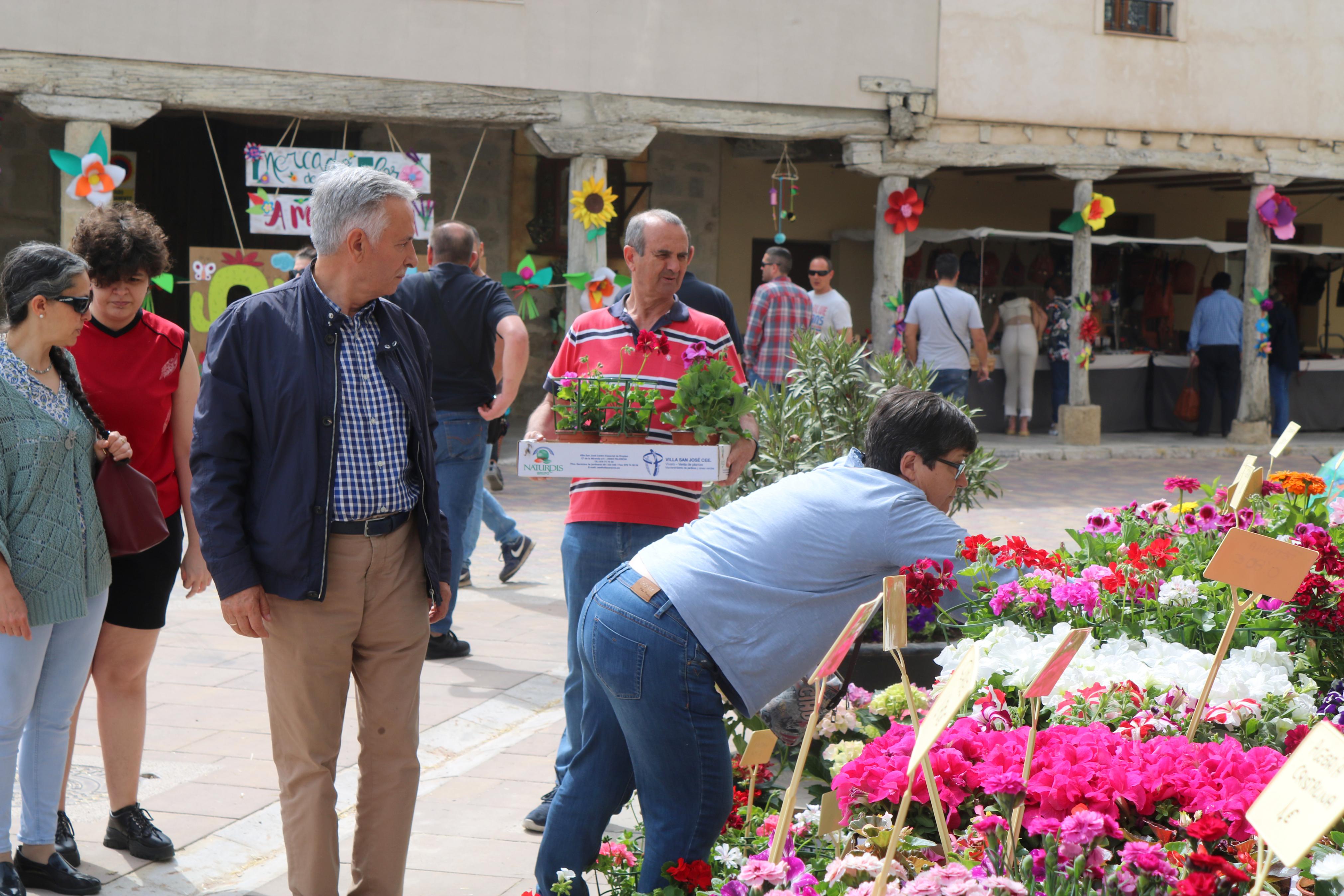 Ampudia celebra el XII Mercado Regional de la Flor