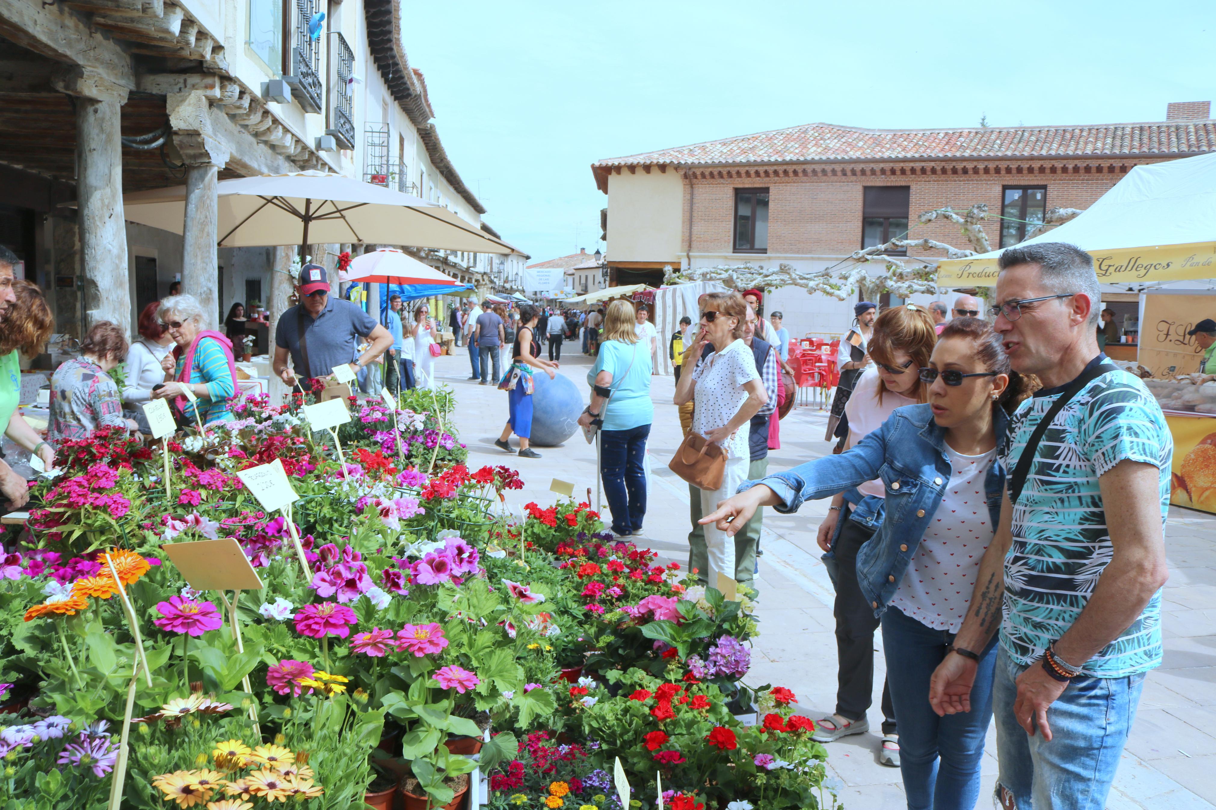 Ampudia celebra el XII Mercado Regional de la Flor