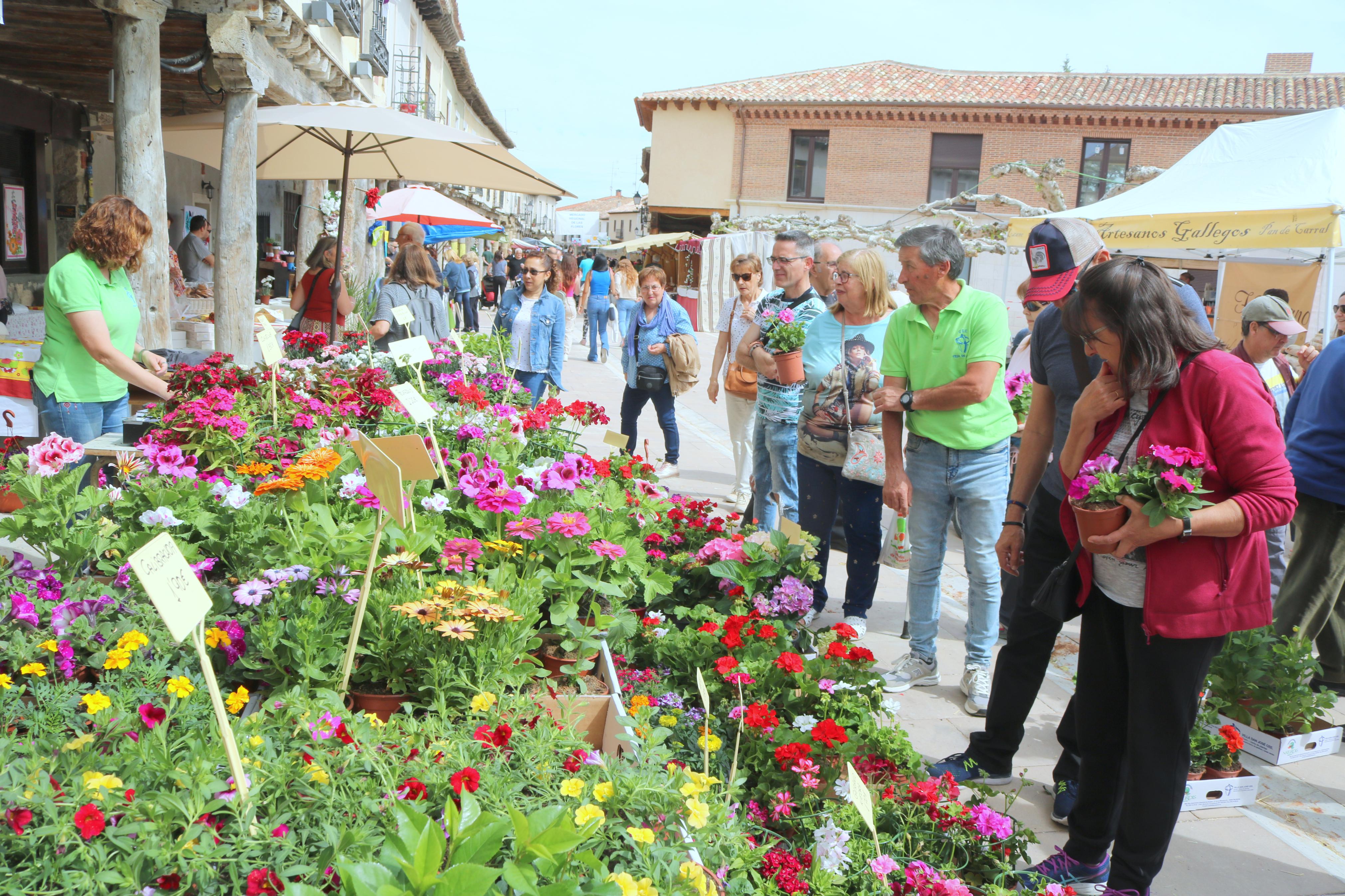 Ampudia celebra el XII Mercado Regional de la Flor