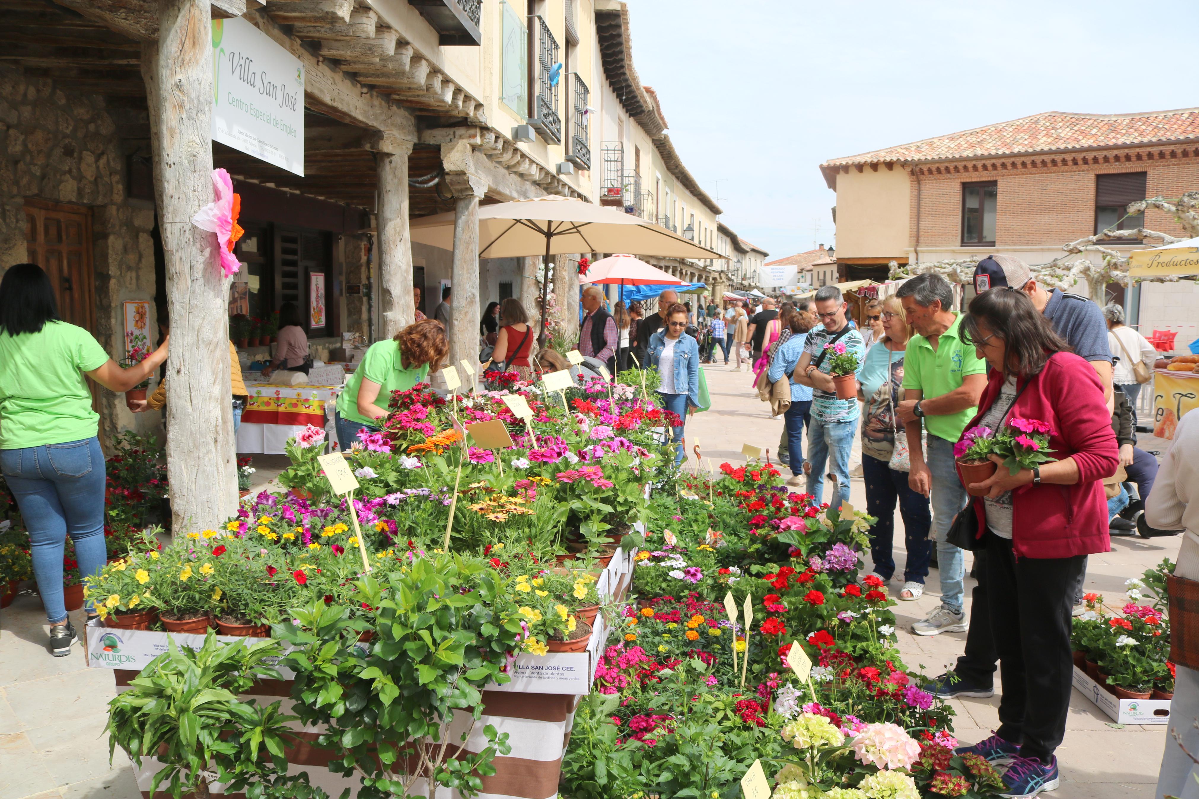 Ampudia celebra el XII Mercado Regional de la Flor