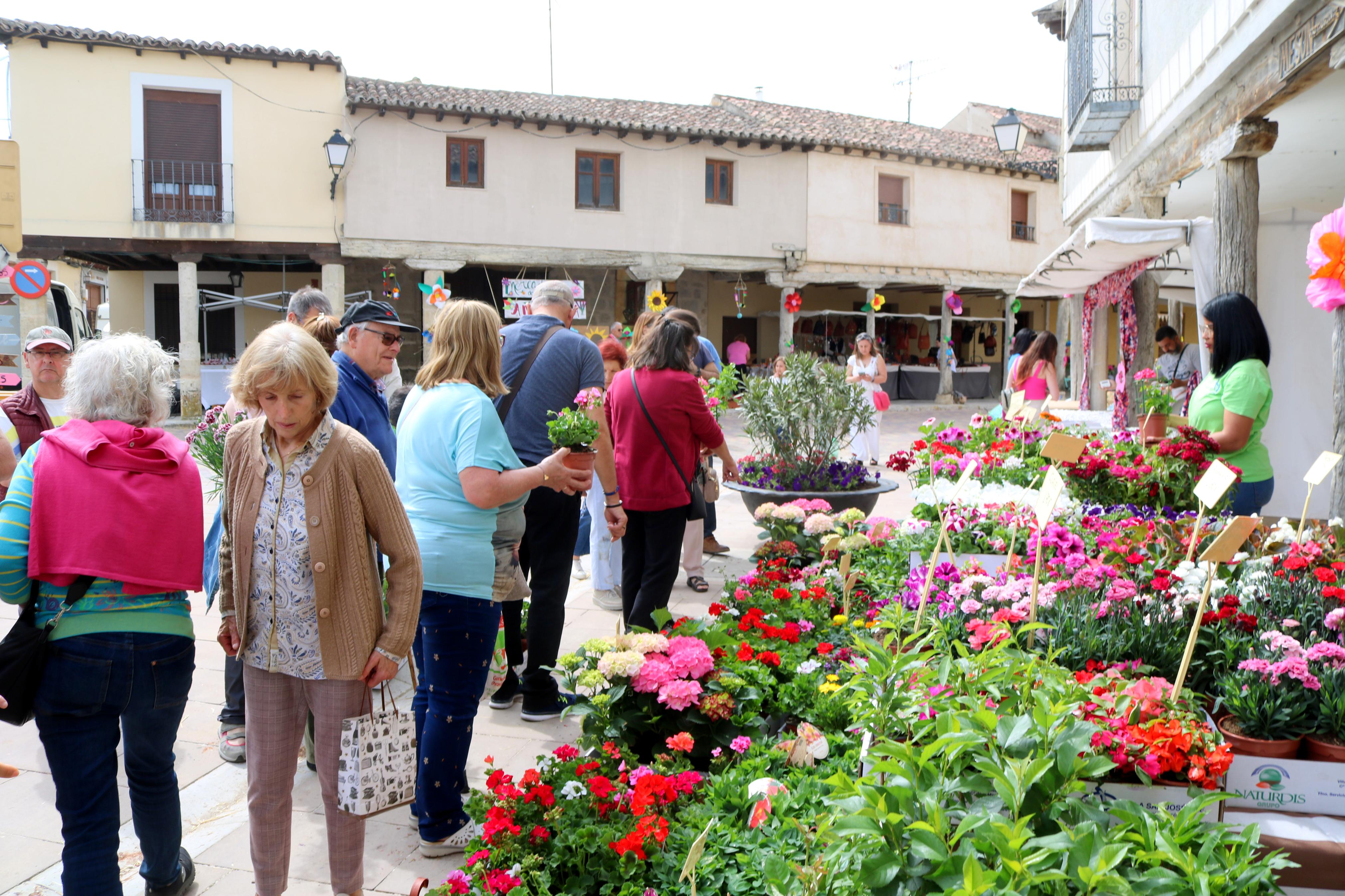 Ampudia celebra el XII Mercado Regional de la Flor