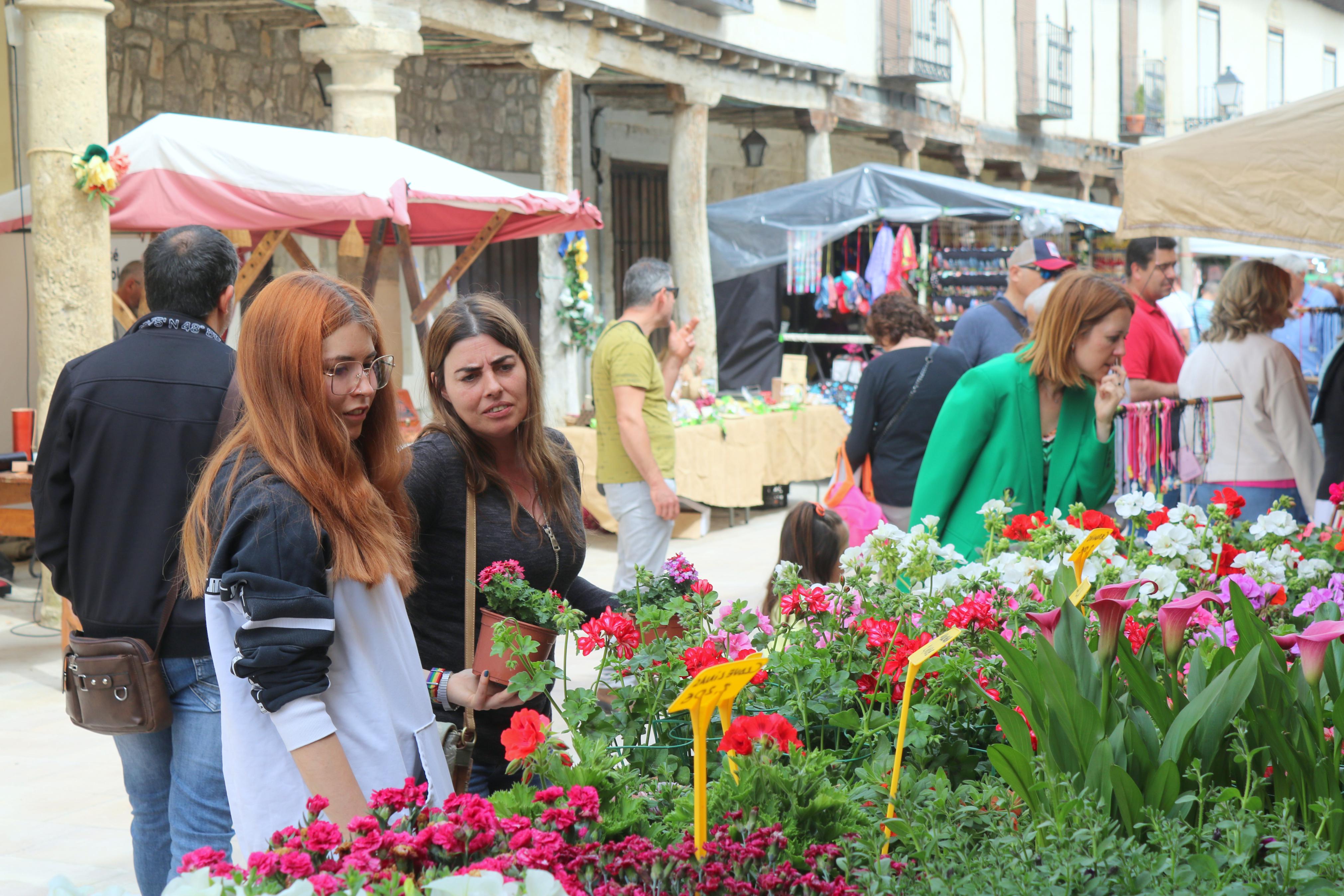 Ampudia celebra el XII Mercado Regional de la Flor