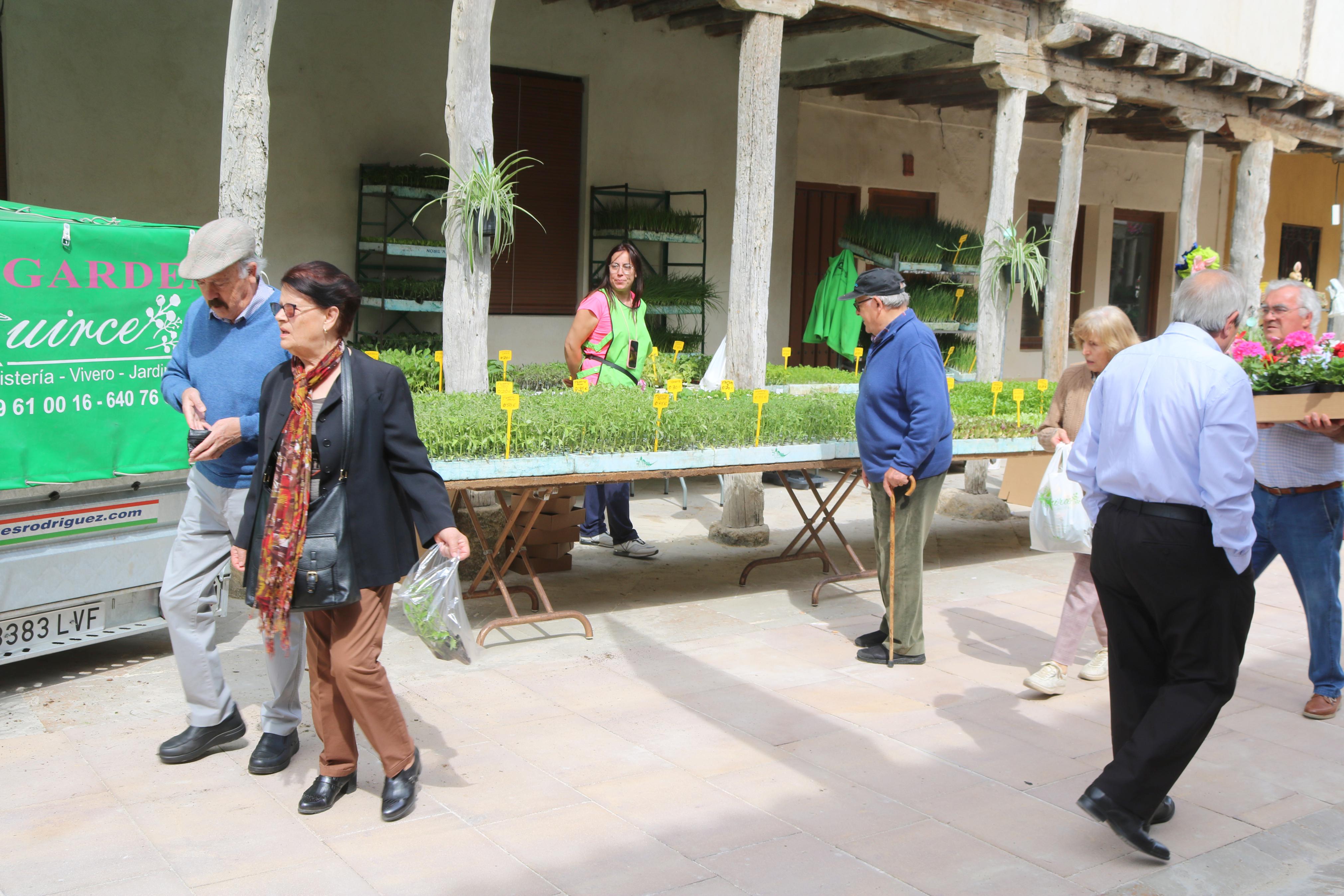 Ampudia celebra el XII Mercado Regional de la Flor